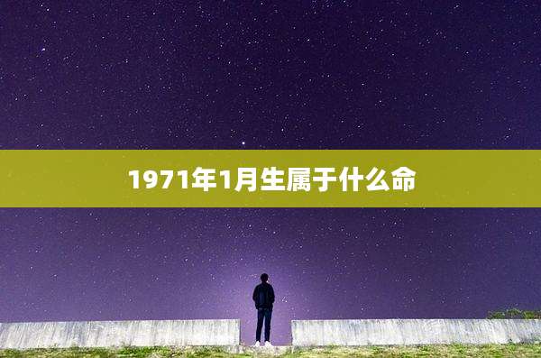 1971年1月生属于什么命
