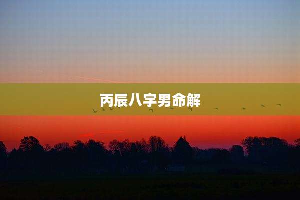 丙辰八字男命解