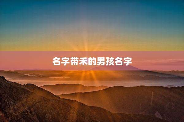 名字带禾的男孩名字