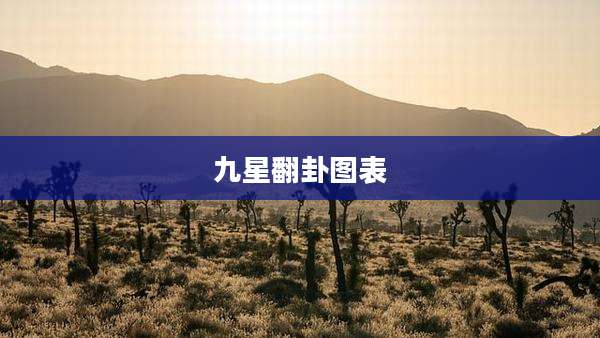 九星翻卦图表