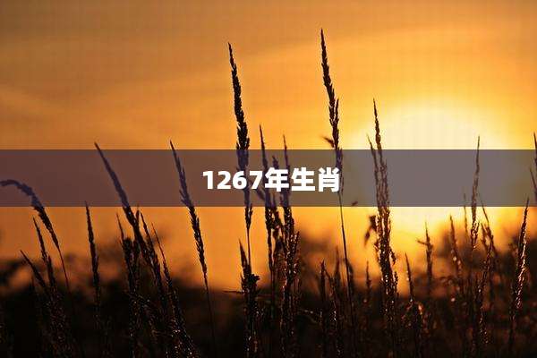 1267年生肖