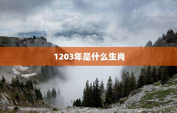 1203年是什么生肖