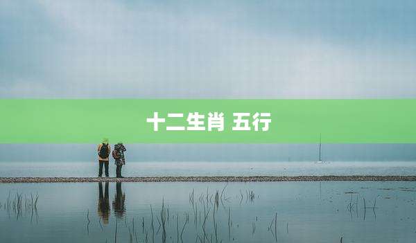 十二生肖 五行