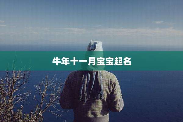 牛年十一月宝宝起名