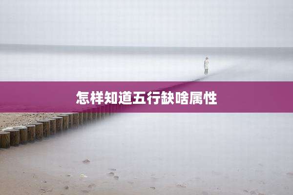 怎样知道五行缺啥属性