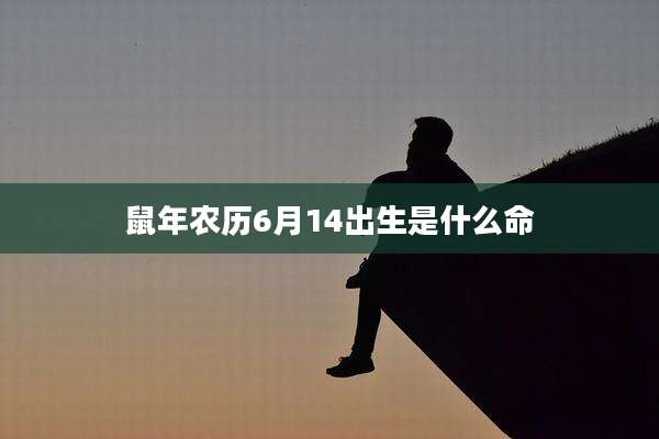 鼠年农历6月14出生是什么命