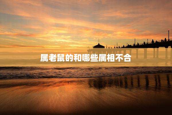 属老鼠的和哪些属相不合