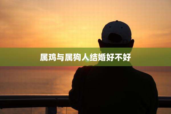 属鸡与属狗人结婚好不好