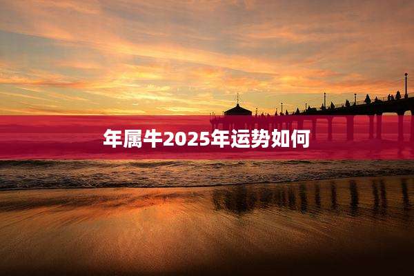 年属牛2025年运势如何