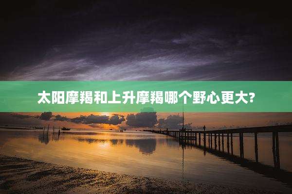太阳摩羯和上升摩羯哪个野心更大?