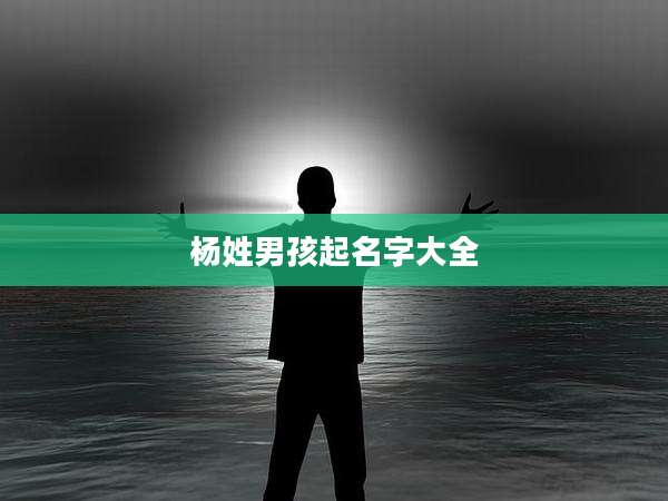 杨姓男孩起名字大全