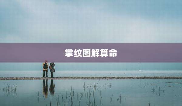 掌纹图解算命