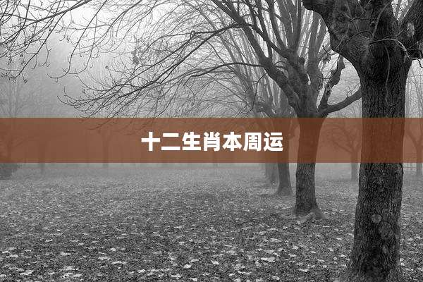 十二生肖本周运