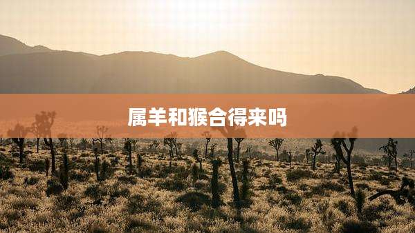 属羊和猴合得来吗