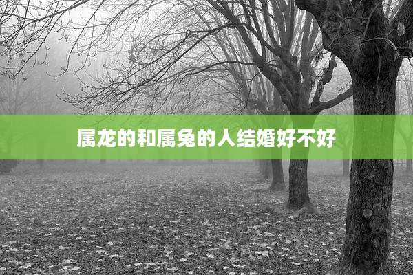 属龙的和属兔的人结婚好不好