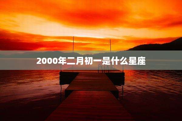 2000年二月初一是什么星座