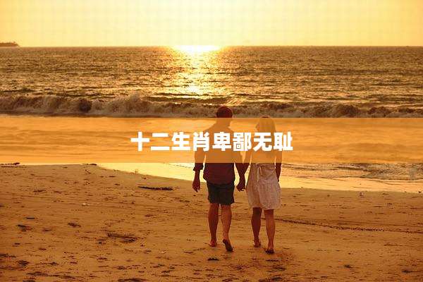 十二生肖卑鄙***