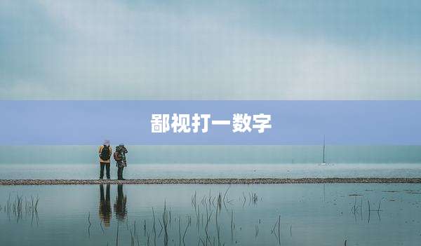 鄙视打一数字