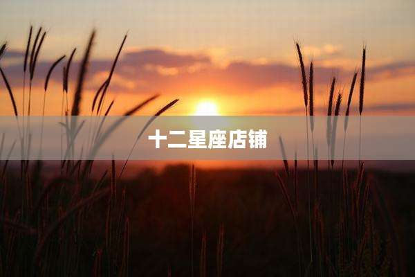 十二星座店铺