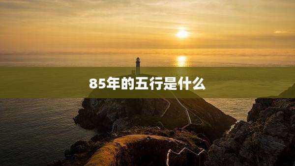 85年的五行是什么