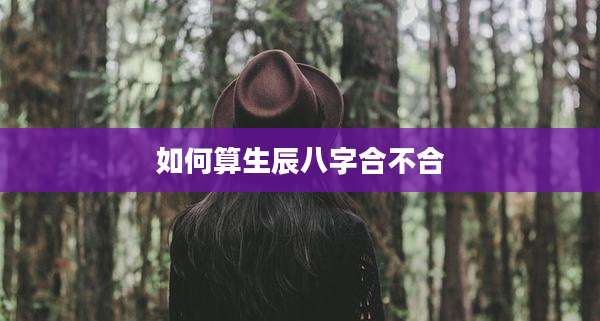 如何算生辰八字合不合