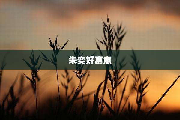 朱奕好寓意