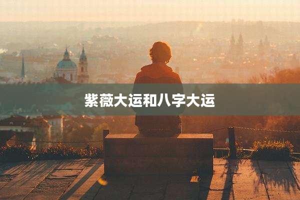 紫薇大运和八字大运