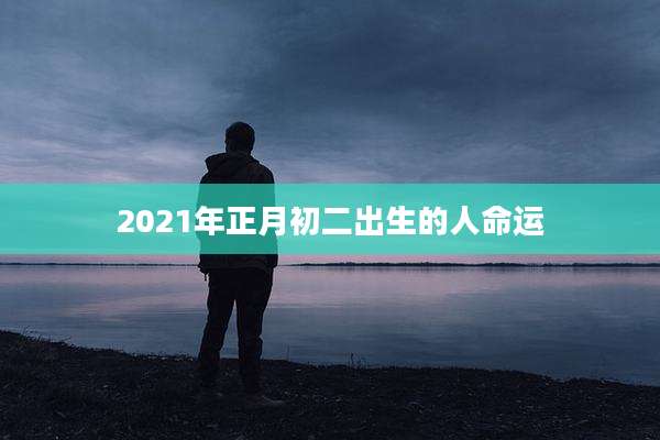 2021年正月初二出生的人命运