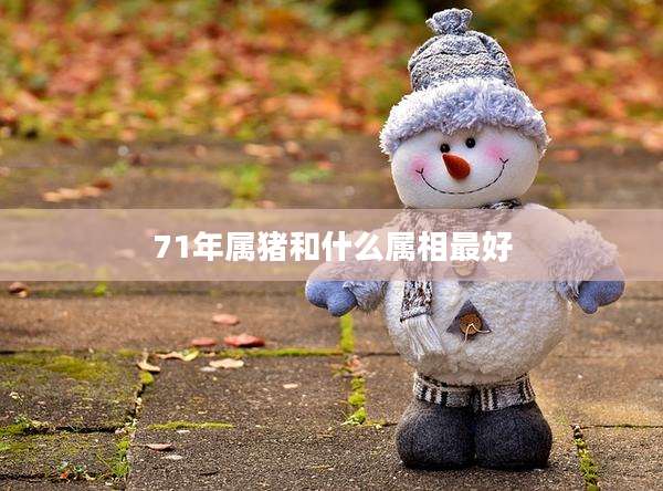 71年属猪和什么属相最好