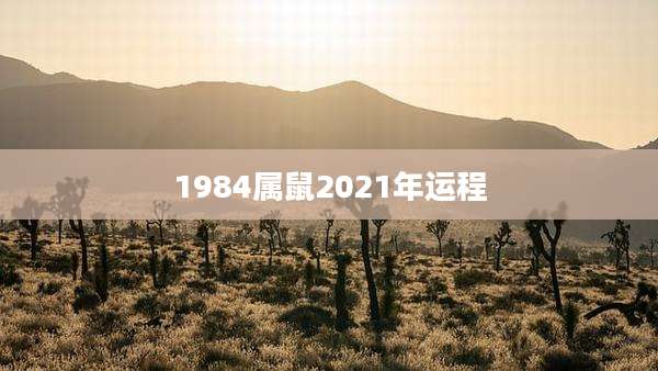 1984属鼠2021年运程