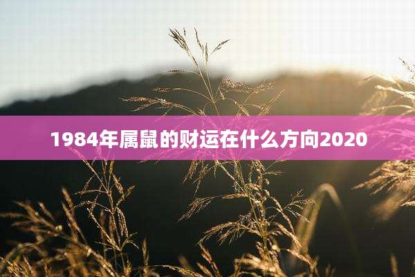 1984年属鼠的财运在什么方向2020