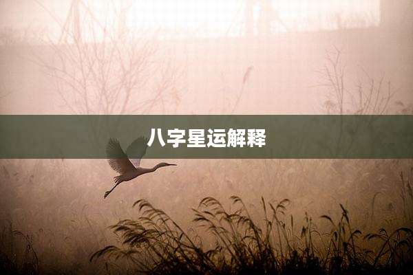 八字星运解释