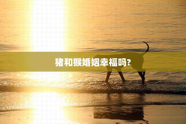 猪和猴婚姻幸福吗?