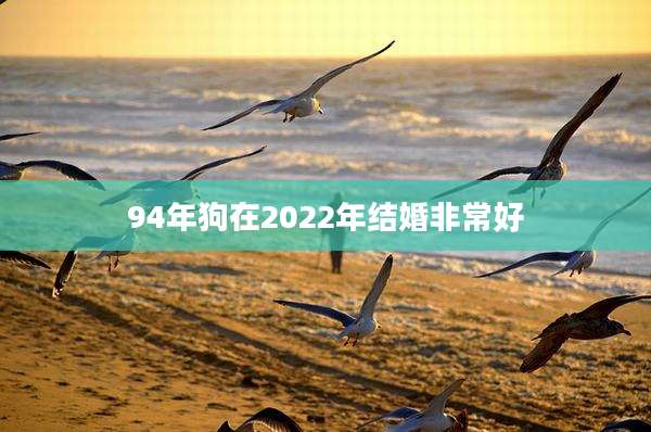 94年狗在2022年结婚非常好