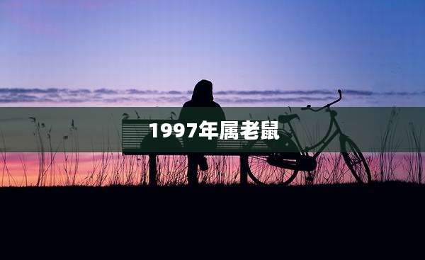 1997年属老鼠