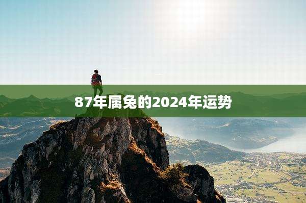 87年属兔的2024年运势
