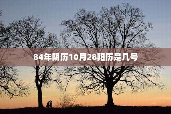 84年阴历10月28阳历是几号