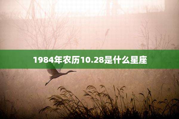 1984年农历10.28是什么星座