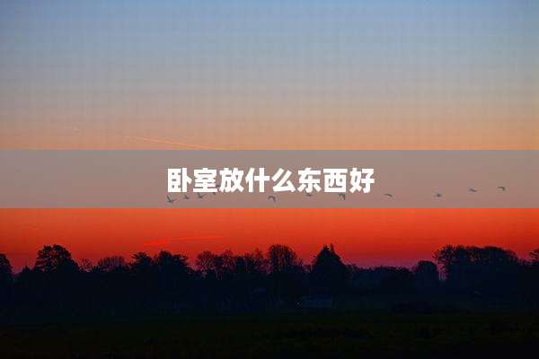 卧室放什么东西好