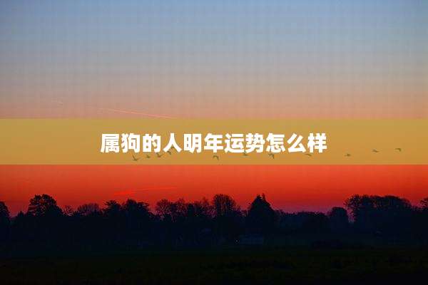 属狗的人明年运势怎么样