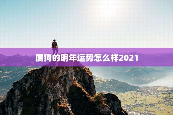 属狗的明年运势怎么样2021