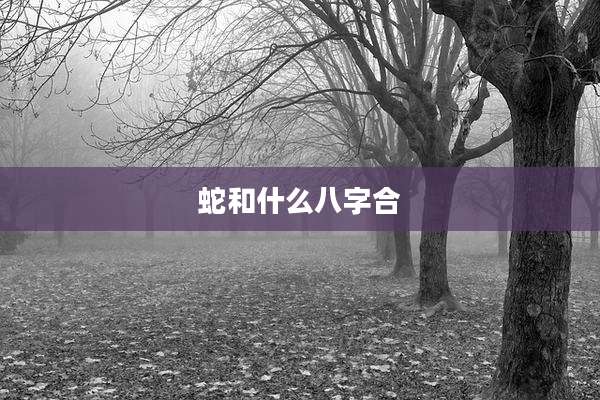 蛇和什么八字合