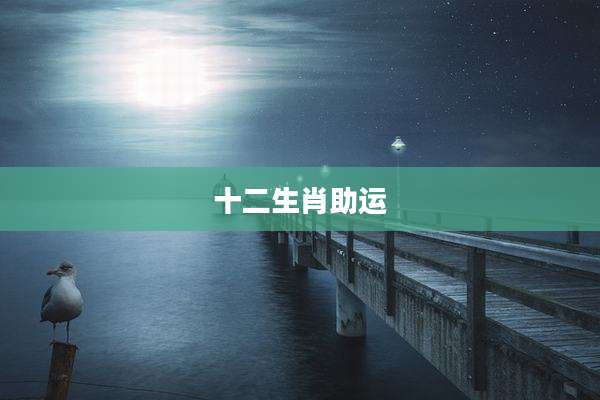 十二生肖助运