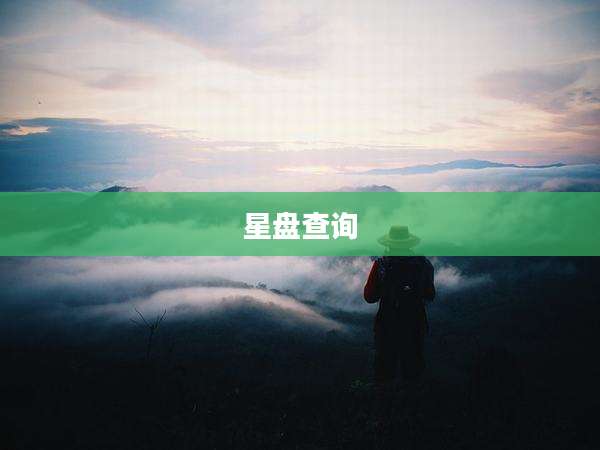 星盘查询