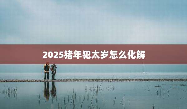 2025猪年犯太岁怎么化解