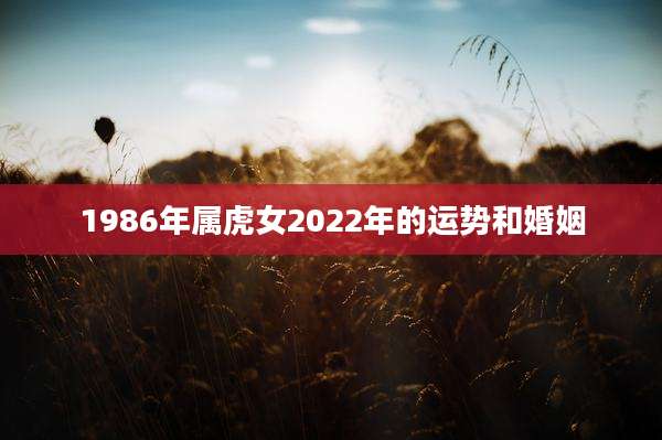 1986年属虎女2022年的运势和婚姻