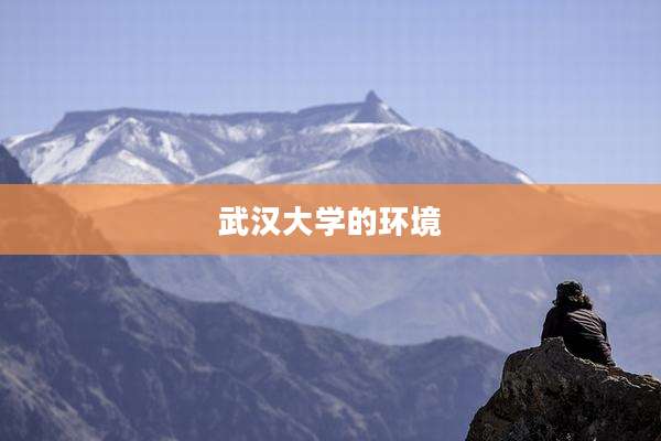 武汉大学的环境