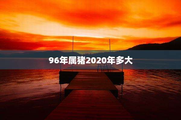 96年属猪2020年多大
