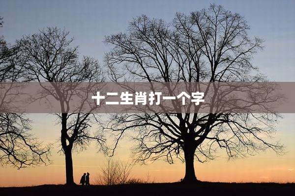 十二生肖打一个字