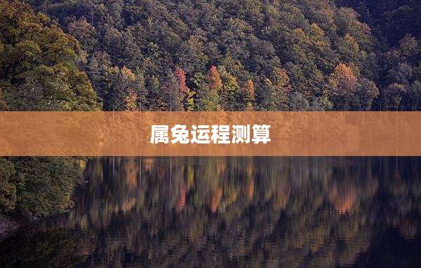 属兔运程测算
